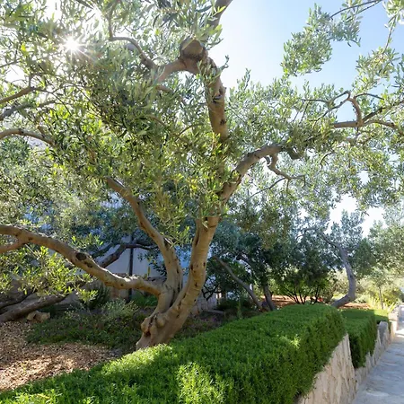 Zavala 553d Apartmán Jelsa (Hvar)